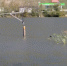Ситуация на городских водоемах после сильных дождей стабилизировалась - Правительство Севастополя