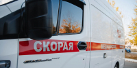 Фото: Алина Дьякова/«Ямал-Медиа» - Ямал-Медиа