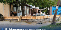 В Дагестане стартовал Осенний марафон добрых дел   - Дагестанская правда