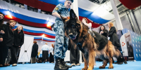 Фотография кинолога УФСИН России по Тверской области со служебной собакой вошла в виртуальную галерею акции «Хвостатый флешмоб» - УФСИН