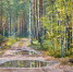 Картинка - Regions.Ru