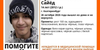 В Екатеринбурге разыскивают подростка - EaNews.Ru