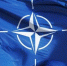 изображение сгенерировано ИИ - Вологда-поиск