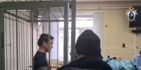 Пойманный в Пулково за убийство под Тосно арестован - 47 новостей
