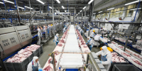 АГРОЭКО увеличила выпуск продукции на Павловском МПП на 18% за девять месяцев 2026 года - Промышленные вести
