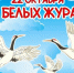 День белых журавлей - Болотнинский музей