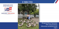 Курганский облизбирком подвёл итоги конкурса фотографий на тему выборов - Новый мир