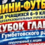 В Гумбете пройдет турнир по мини-футболу - Гумбетовский район