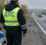 Под Дзержинском корова пошла по центру дороги и отправила водителя Kia на больничную койку - ProDzer.Ru