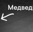 медведь - РИА 7 Новостей