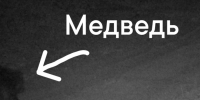 медведь - РИА 7 Новостей
