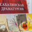 Сахалинские театры, писатели и педагоги обсудили точки соприкосновения - CitySakh.Ru