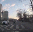 Самая законопослушная белочка живет в Южно-Сахалинске - News.Astv.Ru