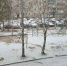 Приамурье припорошило снегом - ИА Порт Амур