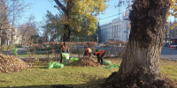 Свыше 120 кубометров летучего мусора вывезли с улиц Тулы за выходные - Молодой коммунар