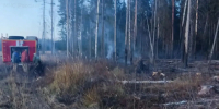 В Ивановской области 26 октября ликвидировали лесной пожар площадью 0,3 га - Известно.ру