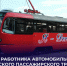 Поздравление Андрея Черткова с Днём автомобилиста: Какой сюрприз ждет водителей? - Divan-News.Ru