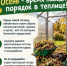 Осенняя уборка в теплице: готовим конструкцию и почву к зиме - Газета Тетюшские зори