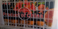 Россельхознадзор развернул в «Бугристом» 18 тонн мандаринов без маркировки - Агентство новостей Доступ