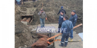 В Омске лошадь провалилась в яму, оставленную коммунальщиками - ИА Новый Омск