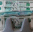 Олег Яровиков башинформ - Башинформ
