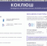 ПАМЯТКА ПО ПРОФИЛАКТИКЕ КОКЛЮША - Юсьвинский район
