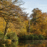 stunning-shot-lake-middle-park-full-trees - ТРК Щелково