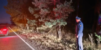 Пешехода насмерть сбили на трассе в Жуковском районе - NgRegion.Ru