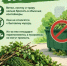 Растительные отходы — не ТКО - Город Орск