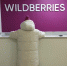 В Новосибирске продают помещение с двумя ПВЗ Ozon и Wildberries за 13,5 миллиона - КП-Новосибирск