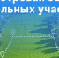 Утверждены результаты новой кадастровой оценки земельных участков в  Новосибирской области - Город Барабинск