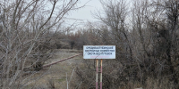 В Волгоградской области с ноября откроется охота на пушных зверей - Volzsky.Ru
