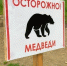 Госсовет Удмуртии принял закон, разрешающий промысловую охоту на медведей - Сусанин