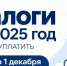 Налоги за 2025 год нужно уплатить до 1 декабря 2026 года - Комитет РТ по тарифам