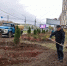 В Омске завершают благоустройство зеленой зоны «Бусины» на Жукова и Пушкина - Вечерний Омск
