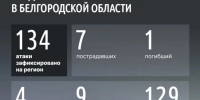 Шуваев: ВСУ 134 раза атаковали Белгородскую область за сутки - Сетевое издание Призыв 31