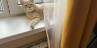 Отопление в дома астраханцев начнёт поступать 2 ноября - Астрахань 24