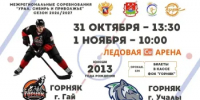 Гайчан ждут хоккейные выходные - Гайский городской округ