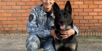 JPG Файл - ОМВД Чувашской Республики