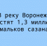 В реку Воронеж планируют выпустить 1,3 миллиона мальков сазана - Народное слово