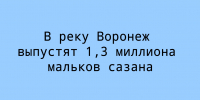 В реку Воронеж планируют выпустить 1,3 миллиона мальков сазана - Народное слово