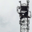 МТС включила LTE в Белоозерске, селе, где наблюдают за краснокнижными птицами - Газета Номер один