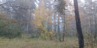 В Белгородском округе трижды за полтора часа объявляли опасность атаки БпЛА - Комсомольская Правда