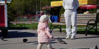 Многодетные семьи Вологодчины могут получить комплексные меры поддержки - Вологда.РФ