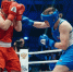 Петербургские спортсменки выиграли шесть медалей на чемпионате России по боксу среди женщин - Петербургский дневник