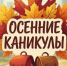 Осенние каникулы в Ростове: 63 пришкольных лагеря, бесплатное питание и насыщенная программа для почти 6 000 школьников - Ростов161