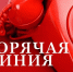 «горячая линия» - фото - 1 - Ершичский район