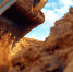 От разработчиков песчаных карьеров добиваются высадки 74 гектаров леса - Zebra-TV.Ru