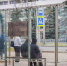 11 новых остановочных павильонов установили в Автозаводском районе - Нижегородская правда