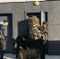 Жители Камских Полян отправили тёплый гуманитарный груз бойцам и в госпиталь - Газета Посинформ